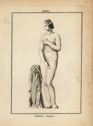 Estatua de Venus Dorada, diosa romana del amor, la belleza, el sexo y la fertilidad