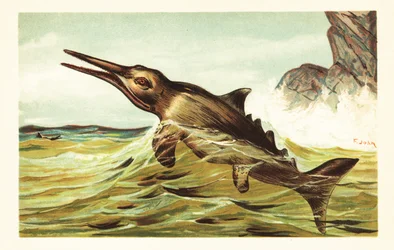 Stenopterygius quadriscissus, ictiosaurio extinto.1908 (litografía)