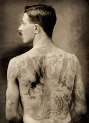 Marinero británico tatuado durante la Gran Guerra de 1914-18, vista de espaldas