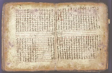 El Palimpsesto de Arquímedes