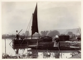 El ferry