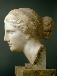 La Cabeza de Kauffmann, romana
