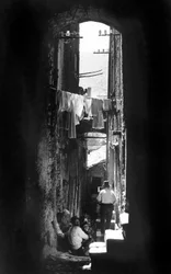 El nudo