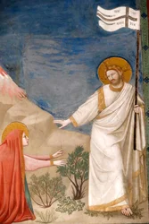 La Capilla Scrovegni. Fresco de Giotto