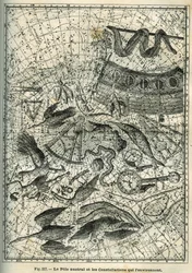 El Polo Sur y las constelaciones que lo rodean: Entre las numerosas constelaciones del Polo Sur se encuentran el Indio, el Fénix, el Besugo, el Octante, el Reloj, el Compas y el Barco. Grabado de la obra de Camille Flammarion "Les étoiles et les autres c