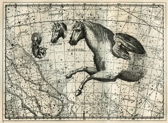 La constelación de Pegaso, dibujada como la mitad anterior de un caballo con un par de alas, el Pequeño Caballo, una cabeza de caballo y el Delfín. Grabado de 