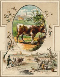 La vaca. Grabado en "Mon premier Grand Alphabet". Edición Bernardin-Bechet, París, circa 1890. Ilustraciones de A. des Lilleuls. Sin página, 46 páginas