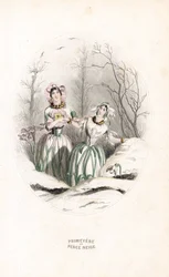 Las tasas atraviesan la nieve y primevere en un paisaje nevado - Eau forte de Charles Geoffroy (1819-1882), basado en una ilustración de Jean Ignace Isidore Gerard dit J.J.J.Granville (1803-1847), para Les fleurs animees