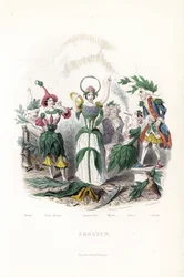 Los honorarios de las flores, el de la aceituna, durmiendo en un gorro de algodón, la belleza nocturna, la siempreviva con corona y aureola de serpiente, el mirto en un anciano, el tabaco fumando el puro y el laurel en un viejo mosquetero - Eau forte de Ch