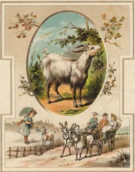 La cabra. Grabado en "Mi primer Gran Alfabeto". Edición Bernardin-Bechet, París, circa 1890. Ilustraciones de A. des Lilleuls