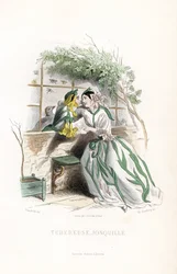 El honorario tubérculo y un narciso duende se cortejan en un banco de jardín, junto a un muro - Eau forte de Charles Geoffroy (1819-1882), basado en una ilustración de Jean Ignace Isidore Gerard dit J.J.Granville (1803-1847), para Les fleurs animees