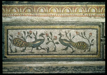 Dos pavos reales, detalle de borde decorativo de un pavimento de mosaico que representa las estaciones y escenas de caza, de la villa constantiniana de Daphne, romano, hacia 325-330 d. C. (mosaico de mármol, piedra caliza y vidrio) (detalle de 105665)