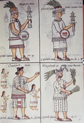 Tzapotlatena, Chalchiuhtlatonal, Cioapipitli y Tliltecuhtli, Códice Florentino, versión bilingüe en español y náhuatl, Historia General de las Cosas de la Nueva España, Civilización azteca