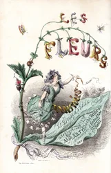 Une fee des fleurs setient sur une feuille et holds un ruban (portada) - Aguafuerte de Charles Geoffroy (1819-1882), a partir de una ilustración de Jean Ignace Isidore Gerard dit J.J.J.Granville (1803-1847), para Les fleurs animees