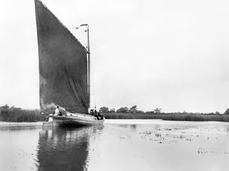 Reino Unido: Un wherry en el río Bure cerca de Ranworth. Norfolk Broads
