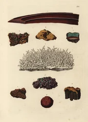 Variedades de mineral de hierro. Grabado en cobre coloreado a mano según una ilustración de Georg Wolfgang Knorr