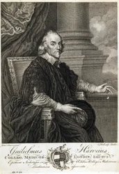 William Harvey, médico inglés