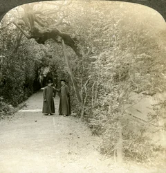 Bower de San Antonio, Jardines del Vaticano, Roma, Italia