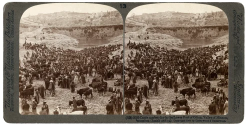 Día de mercado de ganado, en la piscina inferior de Gihon, Valle de Hinnom, Jerusalén, Palestina, 1900