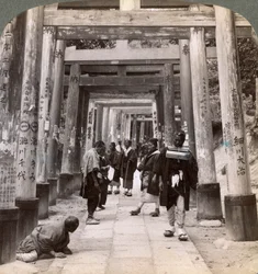 Entrando y saliendo bajo largas filas de torii sagrados, templo sintoísta de Inari, Kioto, Japón, 1904
