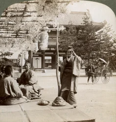 Racimos caídos de glicinas sobre el porche de una casa de té, Kioto, Japón, 1904