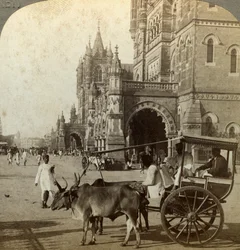 Ekka, fuera de la estación Victoria, Bombay, India, c1900s