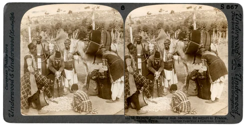 Expertos comprando capullos de seda, para exportar a Francia, Antioquía, Siria, 1900s
