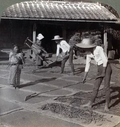 Agricultores con rastrillos de bambú esparciendo mijo en esteras para secar en invierno, cerca de Yokohama, Japón, 1904
