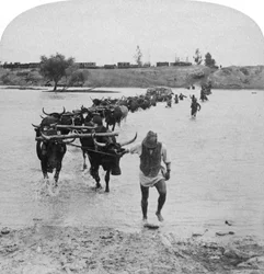 Cruzando el río Modder, Guerra de los Bóeres, Sudáfrica, 15 de febrero de 1901