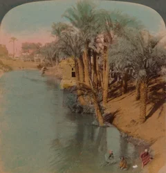 En el Fayum, el oasis más rico de Egipto en el río Bahr Yussef, 1902