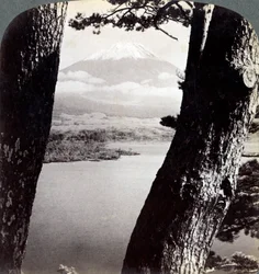 Monte Fuji, visto desde el noroeste, a través de pinos en el lago Motosu, Japón, 1904