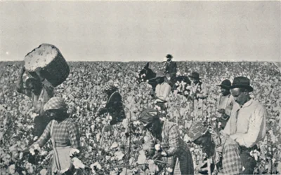 Recogiendo algodón, 1916