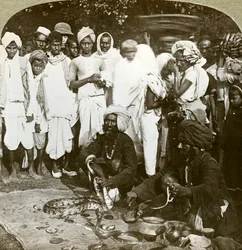 Encantador de serpientes, Calcuta, India