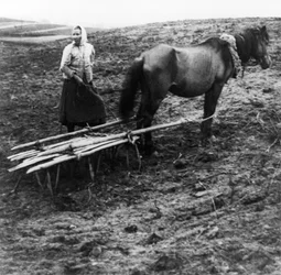 Una campesina con caballo labrando la tierra en una granja en el pueblo de Voronovo en la Rusia prerrevolucionaria, 1900