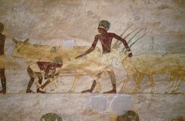 Procesión con ganado y gacelas, detalle de una pintura mural de tumba, Egipto, Reino Antiguo a Medio