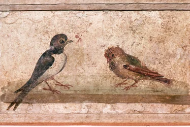 Golondrina y gorrión, pintura mural romana de Boscoreale cerca de Pompeya, siglo I