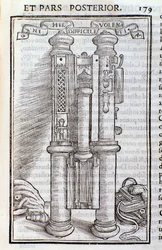 Un Phagotus (Phagotum). Página de Introductio por Theseus Ambrosius Albonesius