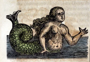 Una sirena, persona legendaria - Grabado de una obra de Athanasius Kircher (1601 - 1680), jesuita, orientalista y erudito alemán