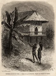 Una pareja de indios de Río Verde (Brasil) el hombre con su cerbatana, frente a una casa típica sobre pilotes. Grabado para ilustrar el viaje a Nueva Granada, por el Dr. Saffray, en 1869, publicado en 