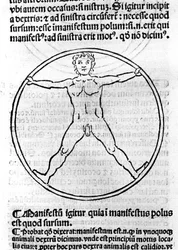 Una página de “Philosophiae Pauperum” de San Alberto Magno (= Albertus Magnus 1206 - 1280). Ilustración que representa a un hombre en un círculo. Brescia 1493