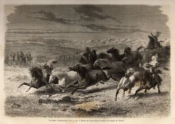 Un rodeo en Lauramarca (Bajo Perú), la captura de caballos salvajes, antes de su marcaje con las iniciales del dueño de la región, considerado como un espectáculo completo, muchos curiosos se reúnen. Grabado para ilustrar el viaje en los valles de Quinquin