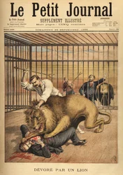 Un joven, queriendo ser fotografiado en la jaula de un león, es devorado, a pesar de los esfuerzos del domador por sujetar al león. Grabado en "Le petit journal" 29/09/1895. Colección Selva.
