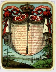 Publicidad de Coca (producto extraído de la cocaína): "Elixir Higiénico Balsámico Peruano COCA", cromolitografía del siglo XIX