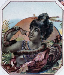 Mujer negra africana y serpiente - Etiqueta de caja de cigarros, finales del siglo XIX