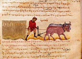 Agricultura: escena de arado