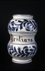 Albarelle: antiguo jarrón de farmacia del siglo XVI que contiene genciana. Museo de Ciencia y Tecnología, Milán