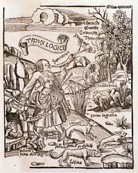 Alegoría de la lógica de Margarita philosophica de Gregor Reisch (1508)