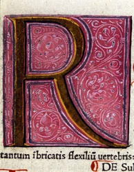 Alfabeto: letra R miniaturizada
