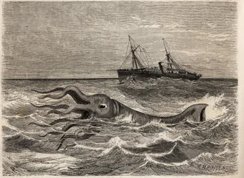 Un pulpo gigante de 18 pies (o calamar), visto en el océano a cuarenta leguas de Tenerife (España), por la tripulación del Alecton, un barco de vapor bajo el mando del narrador. Grabado para ilustrar el viaje a la Guayana Francesa en 1862-1863, por Frederi