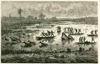 Caza de antílopes, caza anual durante la migración, los antílopes ralentizados en el agua del río son sacrificados por los guerreros Marutse, que los persiguen en equilibrio sobre canoas. Grabado para ilustrar la historia “En el país de los Marutses”, en 1